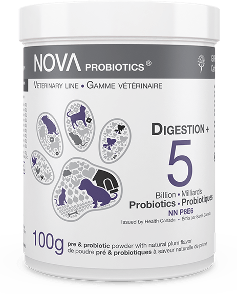Antibio Support + Digestion Formula Probiotics 5B - 100g