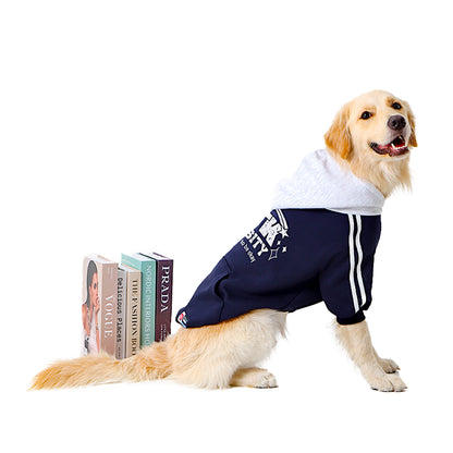 Shootingstar heating hoodie - Pet