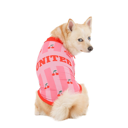 Ice United soccer T-shirt- Adult