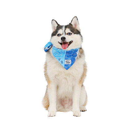 ICE COOL BANDANA
