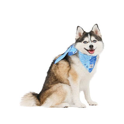 ICE COOL BANDANA