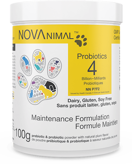 Maintenance Formula Probiotics (保健配方益生菌) 4B - 100g