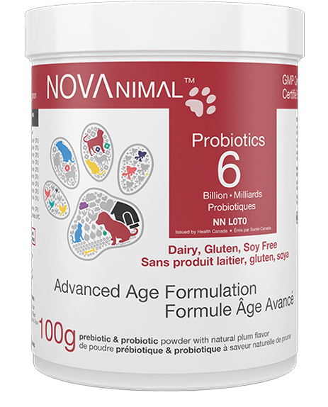 Advanced Age Formulation Probiotics (高齡配方益生菌) 6B - 100g