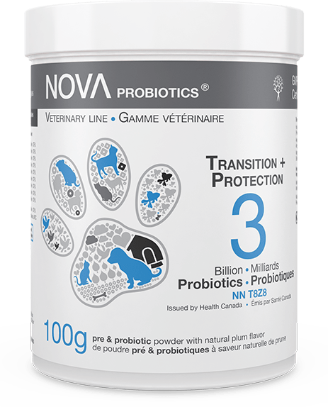 Transition + Protection Formula Probiotics 3B - 100g